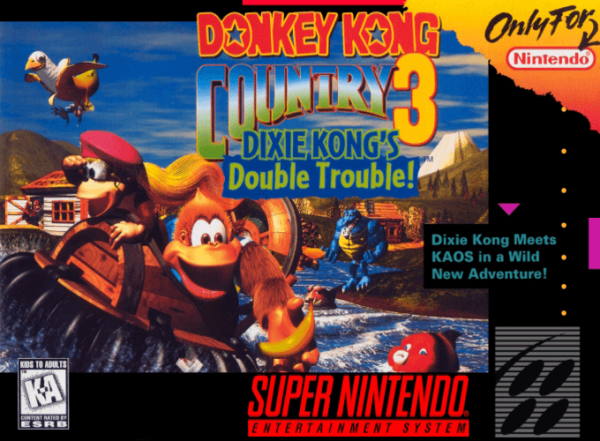 Donkey Kong Country 3 - Super Nintendo