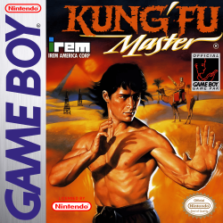 Kung Fu Master - Nintendo Gameboy