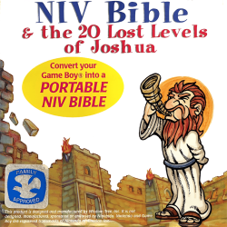 NIV Bible and Lost Levels of Joshua - Nintendo Gameboy