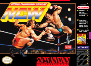 Natsume Championship Wrestling - Super Nintendo
