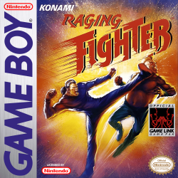 Raging Fighter - Nintendo Gameboy