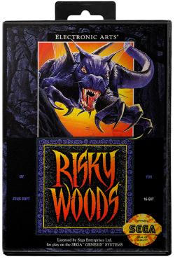 Risky Woods - Sega Genesis