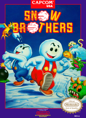 Snow Brothers - Nintendo NES