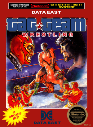 Tag Team Wrestling - Nintendo NES