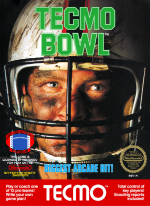 Tecmo Bowl - Nintendo NES
