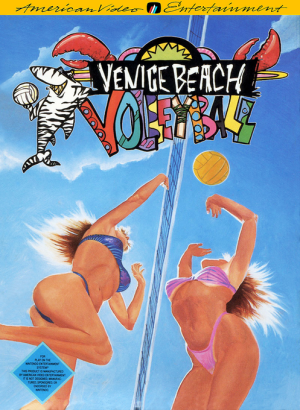 Venice Beach Volleyball - Nintendo NES